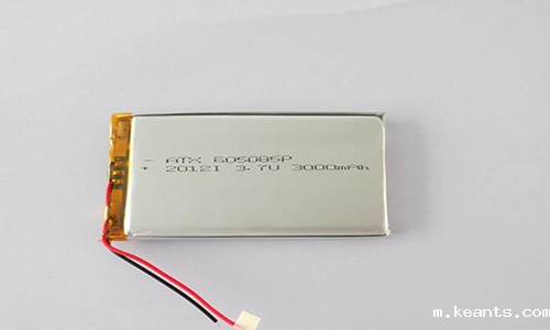 <b>聚合物锂电池充放电及自放电过程的相关参数</b>